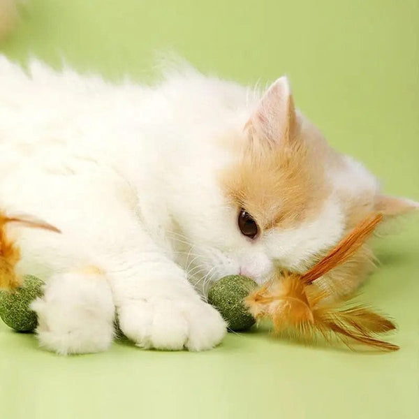 Boule d'herbe à chat avec plume