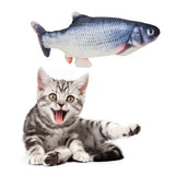 Poisson qui bouge pour chat Gardon